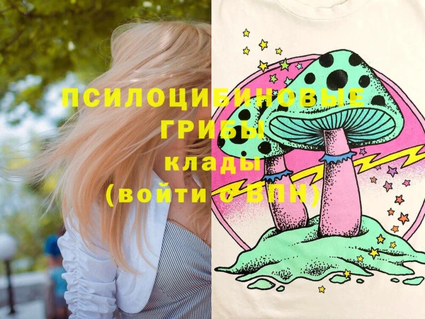 спиды Михайловка