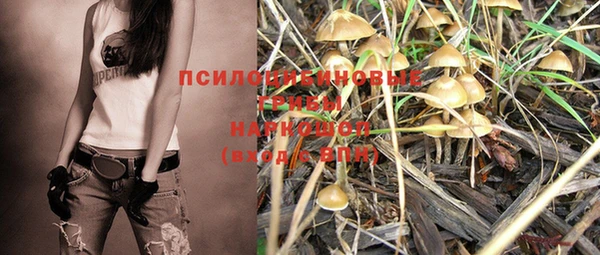 спиды Михайлов