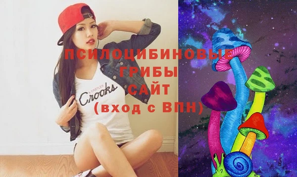 спиды Михайлов